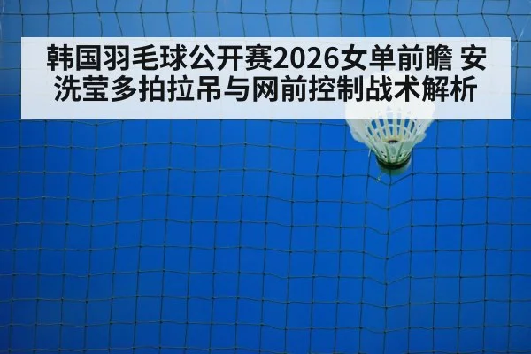 badminton net closeup shuttlecock
