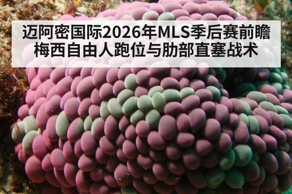 迈阿密国际2026年MLS季后赛前瞻 梅西自由人跑位与肋部直塞战术