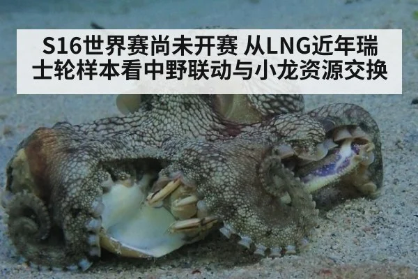 S16世界赛尚未开赛 从LNG近年瑞士轮样本看中野联动与小龙资源交换
